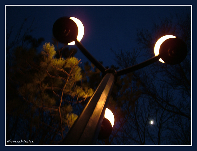 photo "from the life of street lights or another love tri" tags: landscape, night