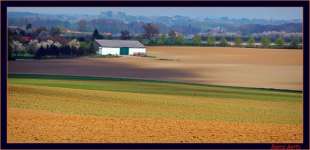 photo "Zuid Limburg Belgie" tags: landscape, spring