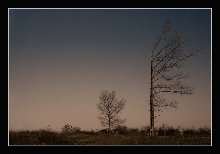 photo "Untitled photo" tags: landscape, sunset