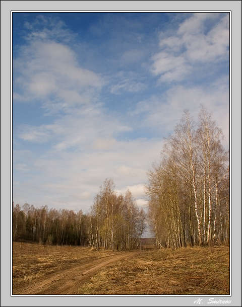 photo "April roads." tags: landscape, forest, spring