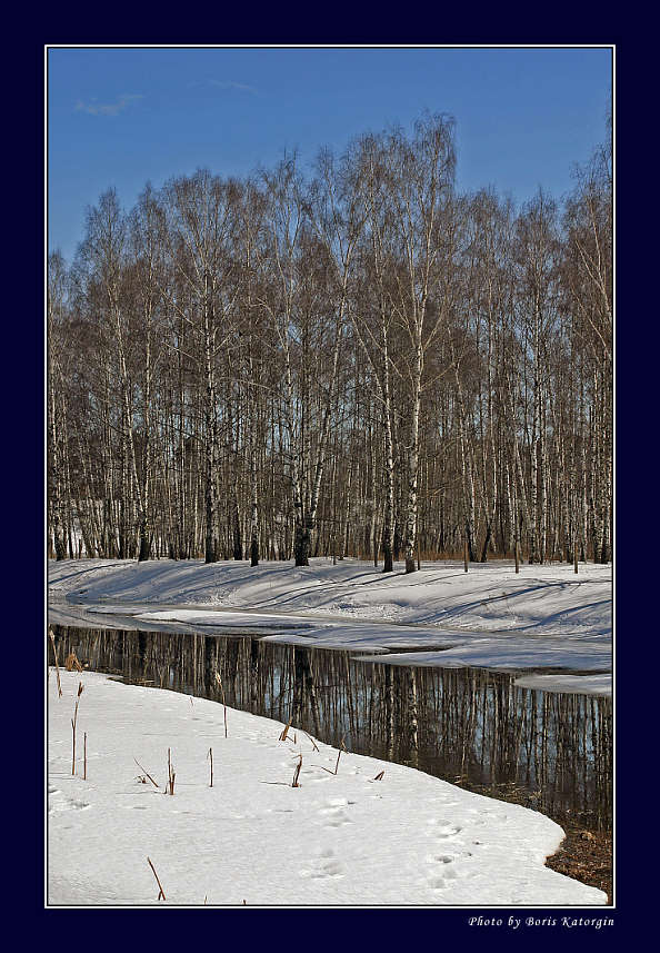 фото "Березовая роща" метки: пейзаж, зима, лес