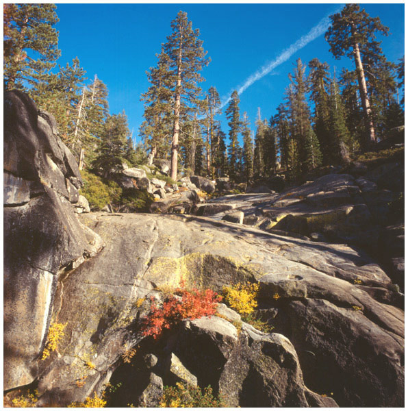photo "Yosemite - California" tags: travel, North America