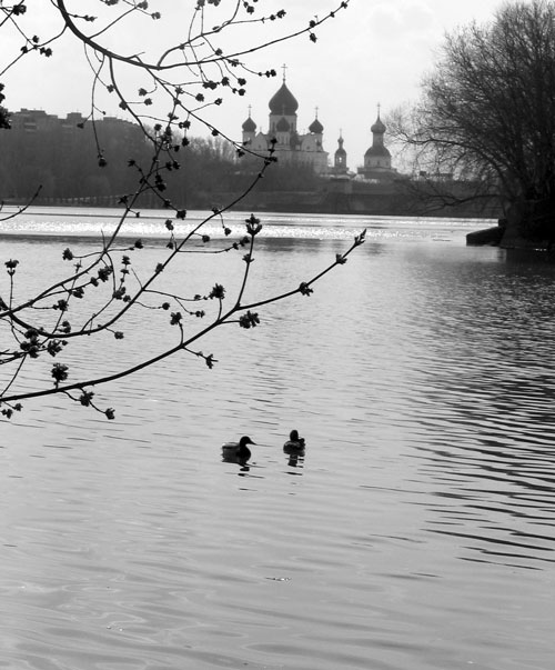 фото "весеннее утро" метки: природа, 