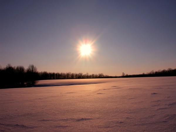 photo "Snow coverlet" tags: landscape, forest, winter