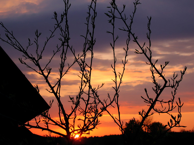 фото "Узор" метки: пейзаж, закат