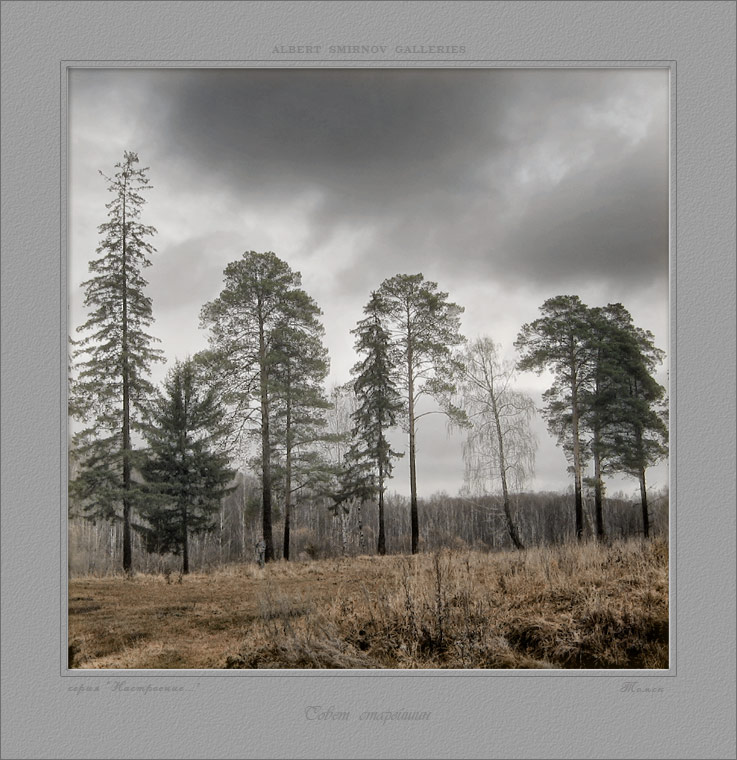 photo "Advice of Elders (a series " Mood... ")" tags: landscape, clouds, forest
