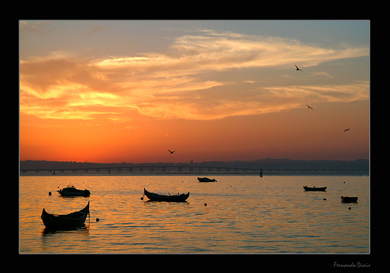 photo "Last flight" tags: landscape, sunset, water