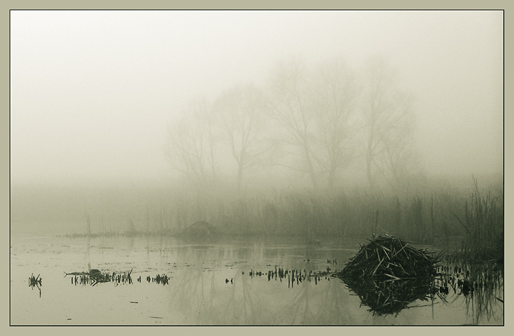 photo "Foggy calm." tags: landscape, water