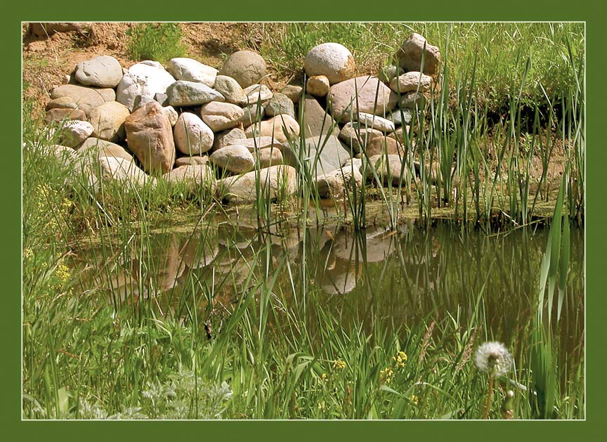 photo "Stones" tags: nature, landscape, water