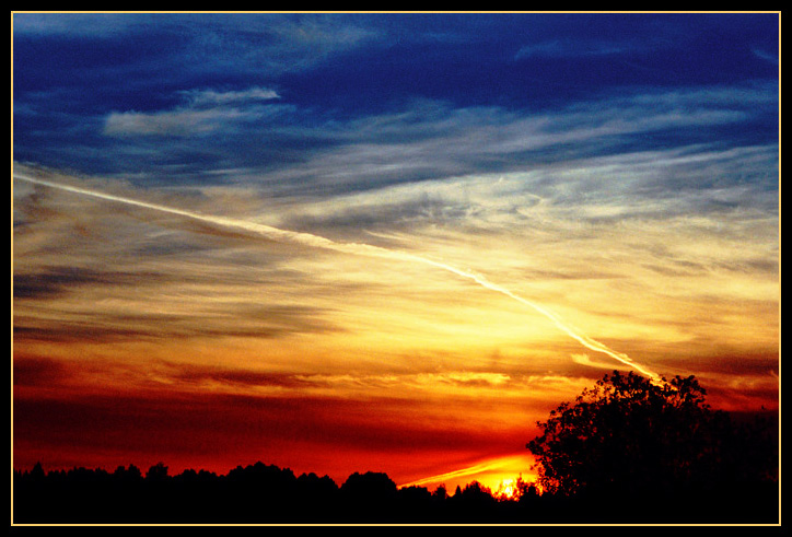 photo "Sky, plant and girl..." tags: landscape, clouds, sunset
