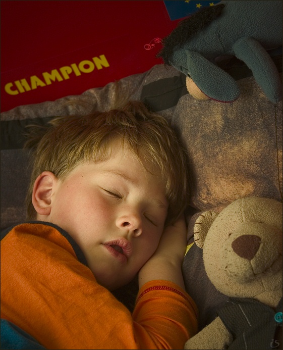 фото "champion is sleeping" метки: портрет, жанр, дети