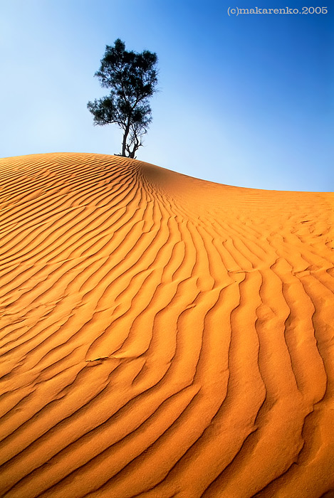 photo "***" tags: travel, landscape, Asia