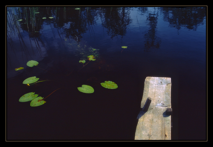 photo "Black river" tags: landscape, water