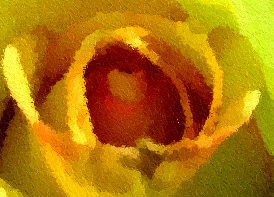 photo "Birth of a Rose" tags: abstract, montage, 