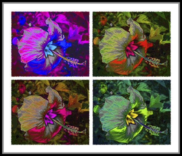 photo "Variations on a theme" tags: abstract, montage, 