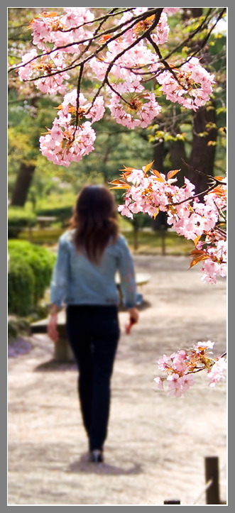 photo "Tokyo. Sakura." tags: misc., travel, Asia