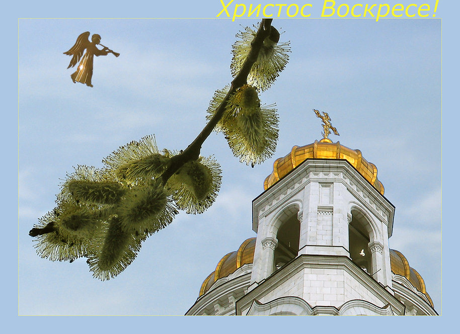 photo "I congratulate all of you on Orthodox Easter!" tags: misc., landscape, spring