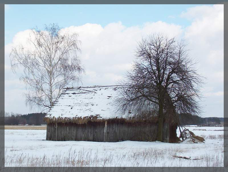 фото "Old barn" метки: пейзаж, зима