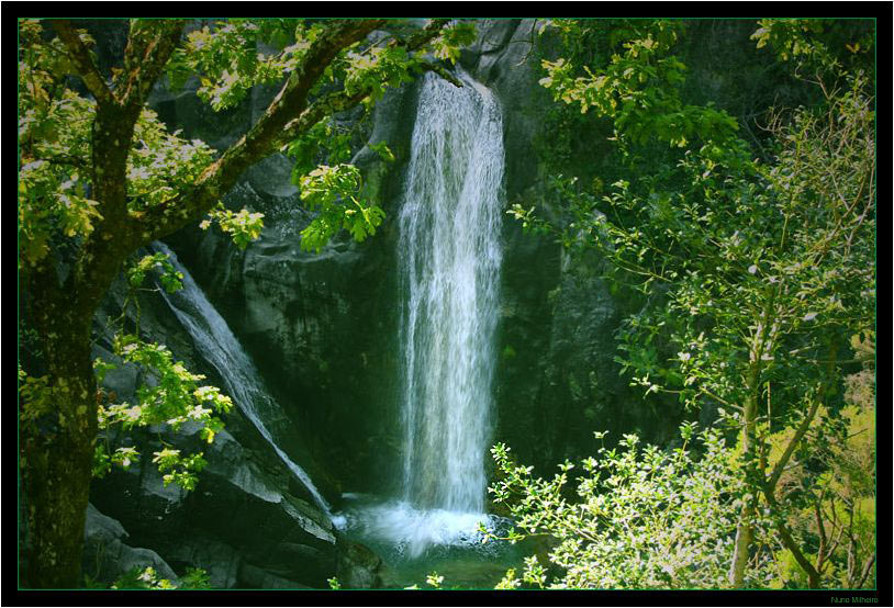 фото "Exploring the secrets of the lost forest" метки: пейзаж, лес