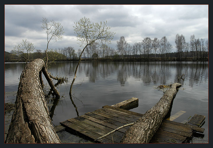 фото "Дерево" метки: пейзаж, весна