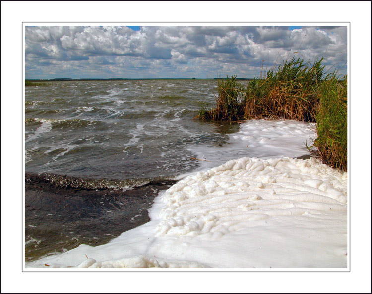 photo "North wind" tags: landscape, spring, water