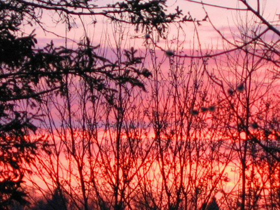 photo "On a decline of winter" tags: landscape, sunset
