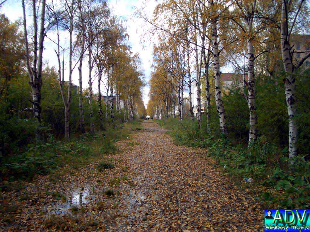 photo "Path" tags: architecture, landscape, 