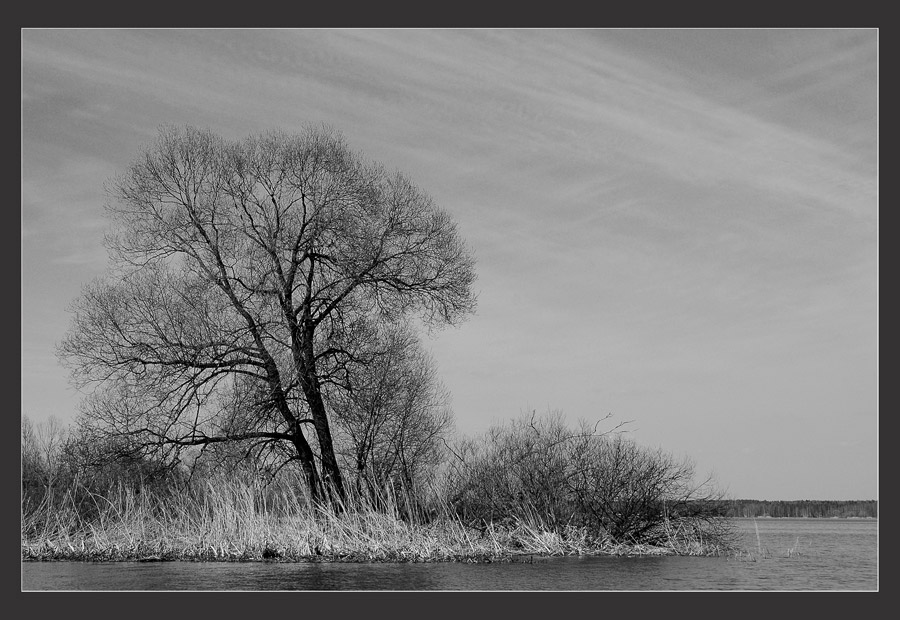 фото "У берегов Волги" метки: пейзаж, природа, вода