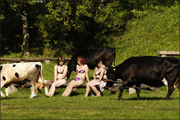 photo "Rural beach" tags: genre, 