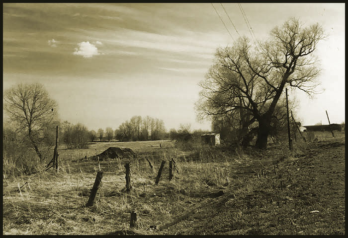 photo "At a roadside..." tags: landscape, spring