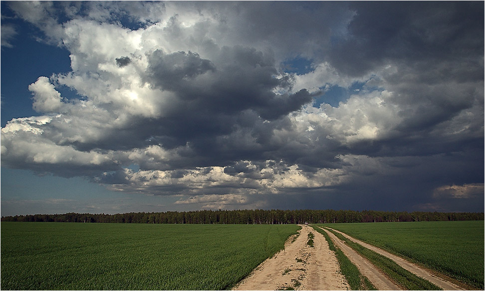 photo "On a line of a thunder-storm" tags: landscape, summer