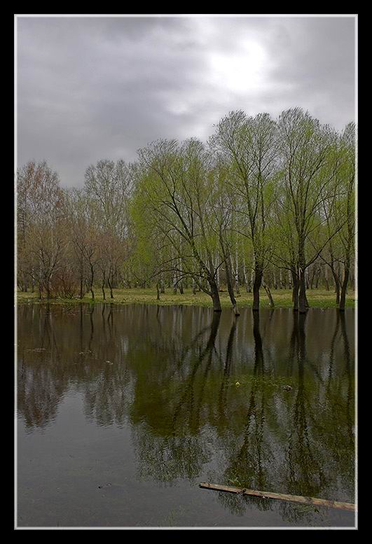 photo "water-meadow" tags: landscape, spring