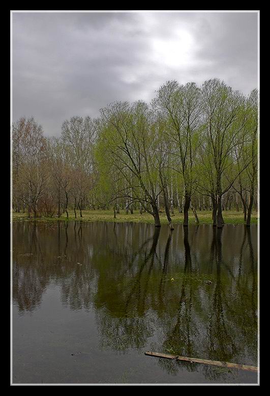 фото "заливной луг" метки: пейзаж, весна