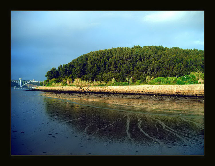 photo "half land" tags: landscape, water