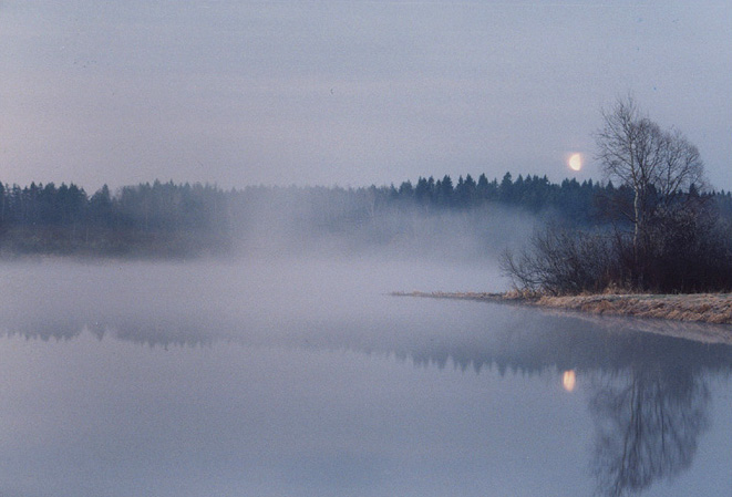 photo "Foggy" tags: landscape, spring