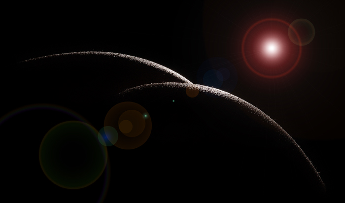 photo "DoubleMoon Rising" tags: nude, abstract, 