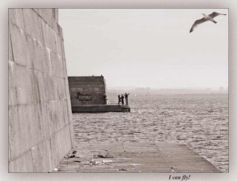 фото "I can fly!" метки: пейзаж, вода