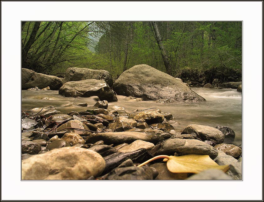 фото "шум ручья..." метки: пейзаж, вода, лес
