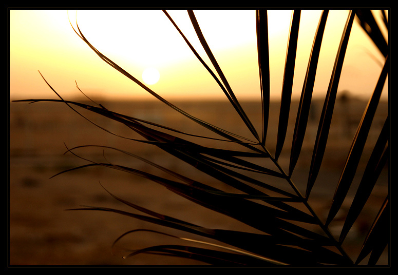 фото "Sunset..." метки: природа, пейзаж, закат
