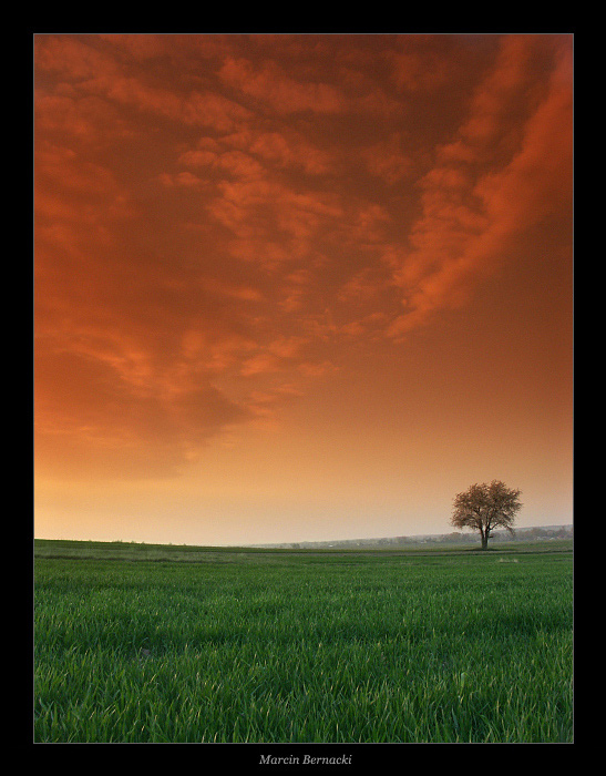 photo "Loneliness" tags: landscape, sunset
