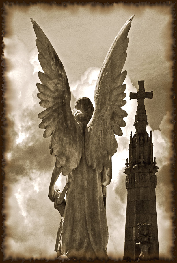 photo "Angel de Synera" tags: misc., 