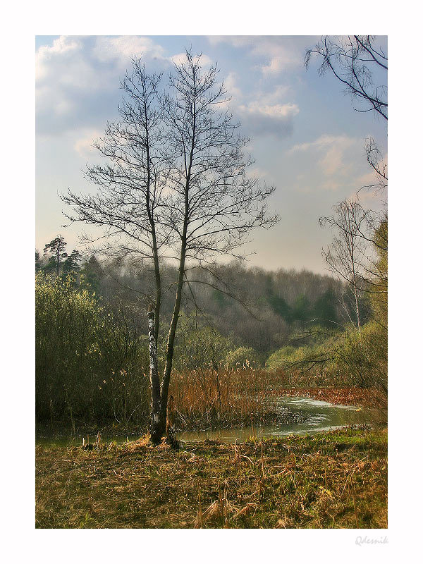 photo "Streamlet" tags: landscape, spring