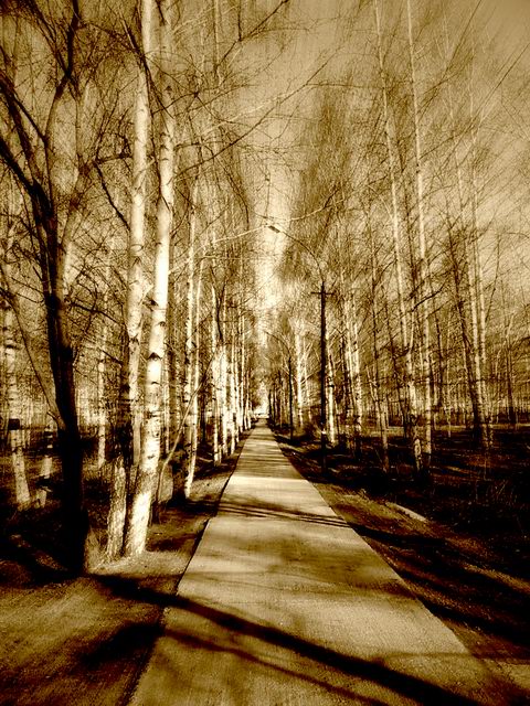 photo "The light future" tags: misc., 