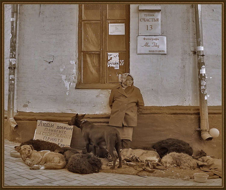 фото "Тупик Счастья" метки: жанр, 