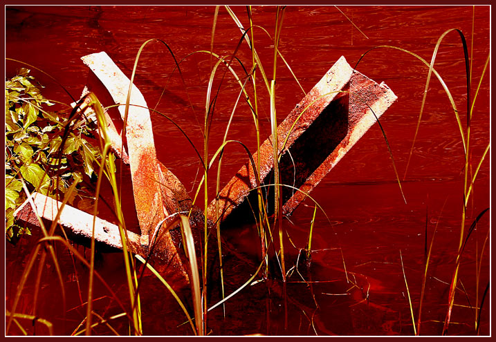photo "Not begun to live wounds of war" tags: genre, abstract, 