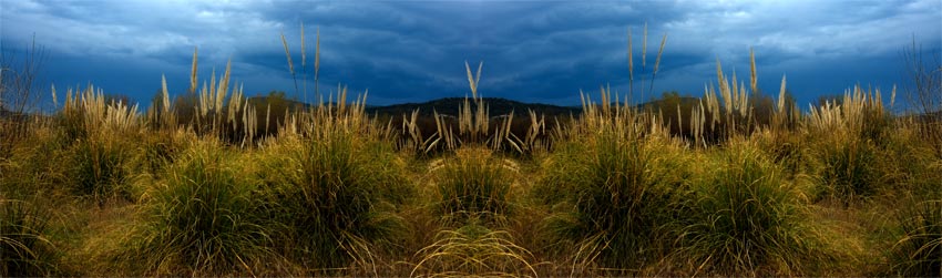 photo "Grimaud Var" tags: misc., landscape, spring