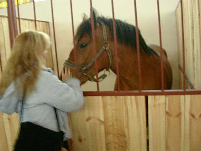 photo "The Horse Day- Siedlec-Poland" tags: nature, portrait, pets/farm animals, woman