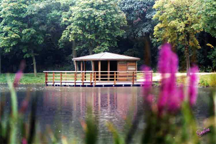 фото "Cottage" метки: природа, пейзаж, вода