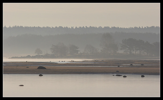 photo "***" tags: landscape, water