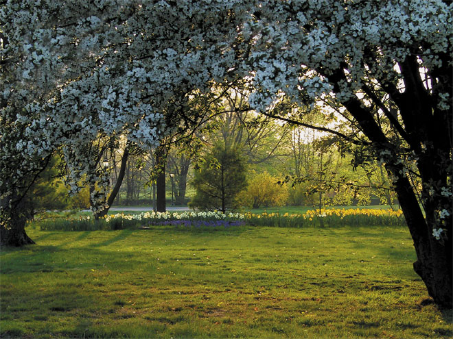 фото "Spring" метки: природа, 